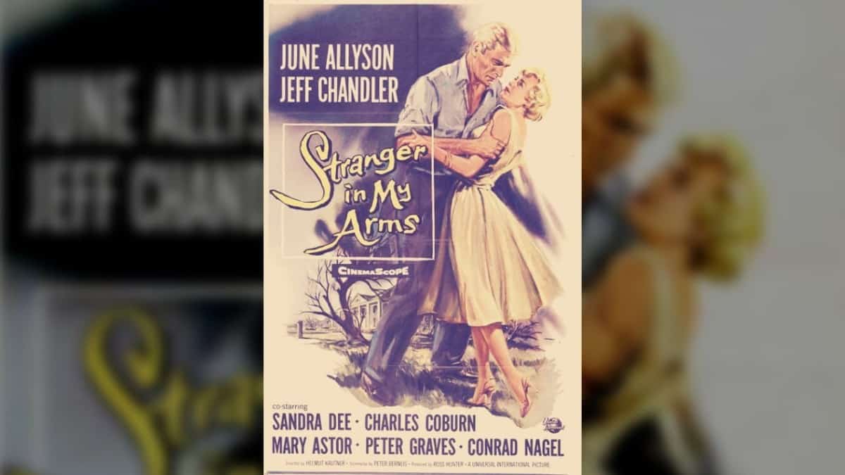A Stranger in My Arms (1959)