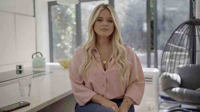 Emily on the Attack to Investigate Online Sexual Harassment