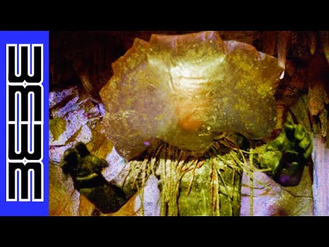 Half-Man, Half-JELLYFISH