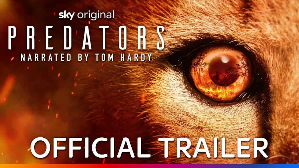 Trailer For Sky's Predators Narrated By Tom Hardy
