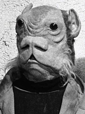 [ Cantina Roll-Call ]