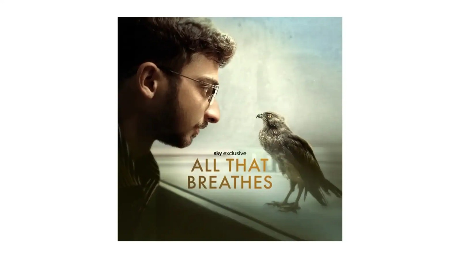 All That Breathes Available Exclusively on Sky Documentaries