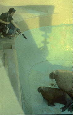 Skywalker Sound | The Making of a Movie Soundtrack