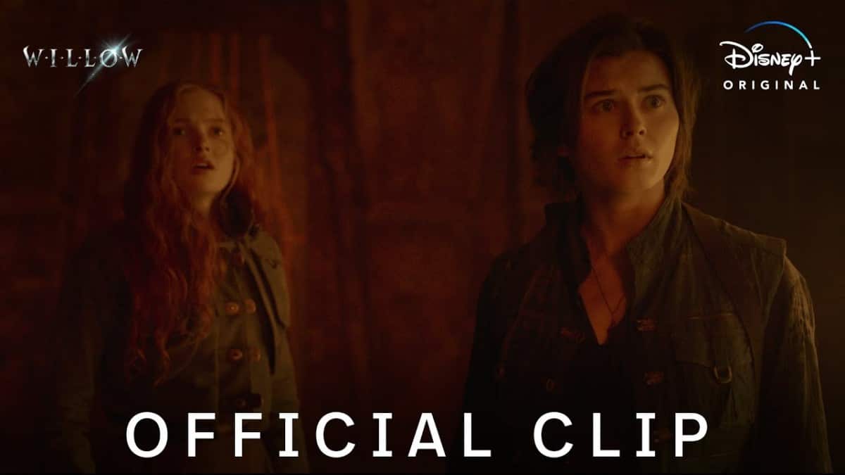 Willow | Not The Bad Guy