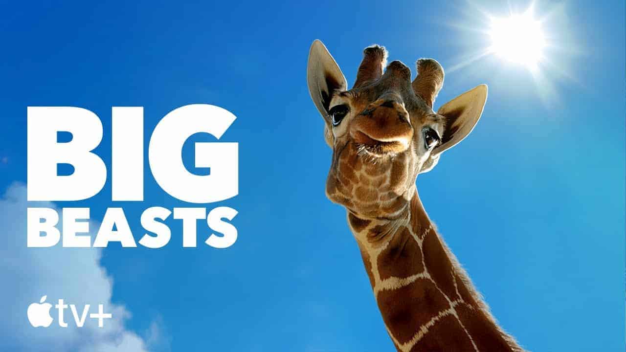 Big Beasts — Official Trailer