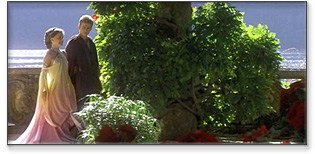 Digital Capture and Release