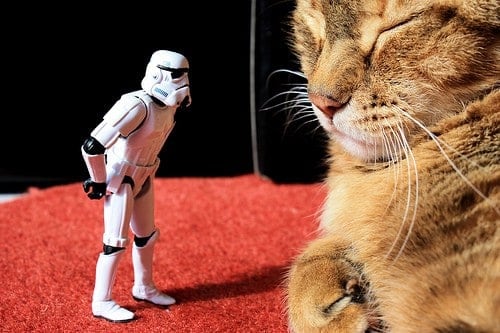 Inside the Holocron - 365 Days of Stormtrooper Photos