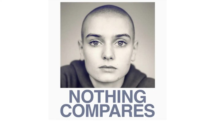 Nothing Compares, to air on Sky and NOW from 29 July