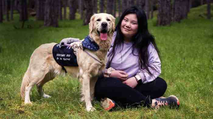 Our Lives: My Life Saving Dog