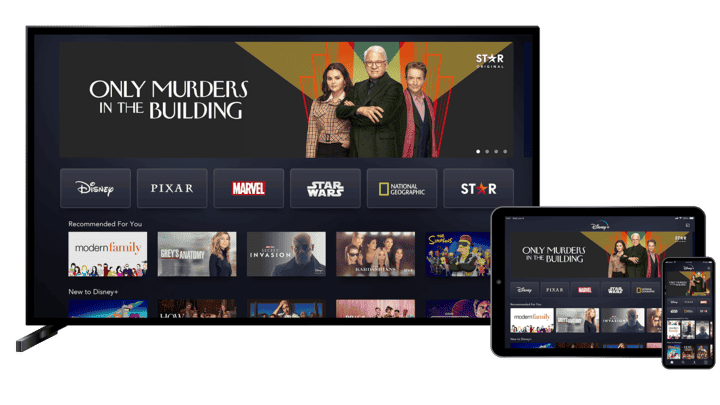 Disney+ to Launch an Ad-Supported Subscription Plan on November 1 In Europe
