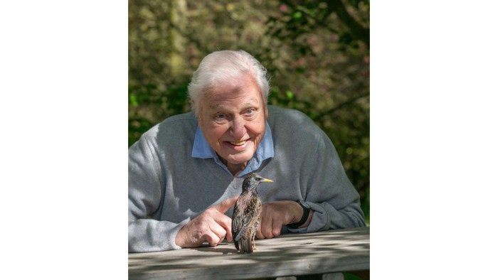 What’s Coming for Sky’s Slate for 2023 and Beyond