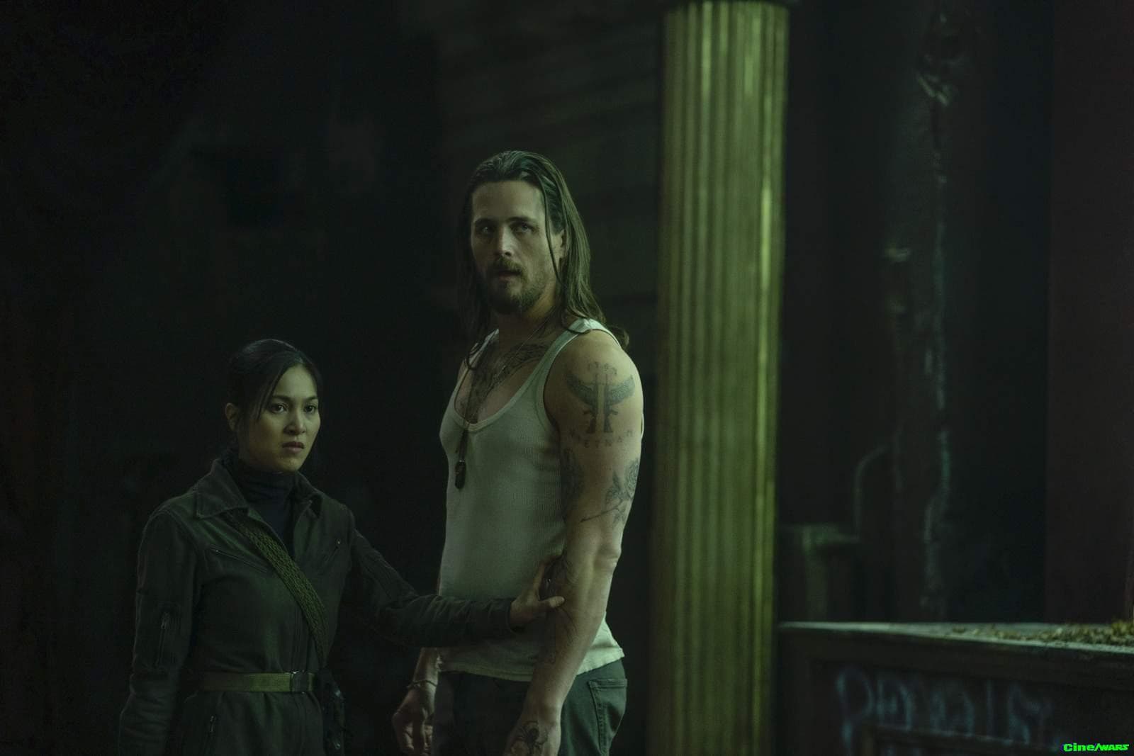 The Continental / Gallery