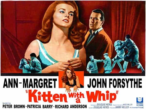 Kitten With A Whip (1964)