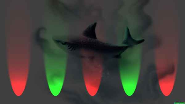 How a Great White Shark Transformed Cinema