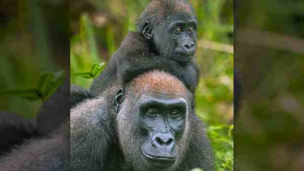 BBC Factual announces Parenthood