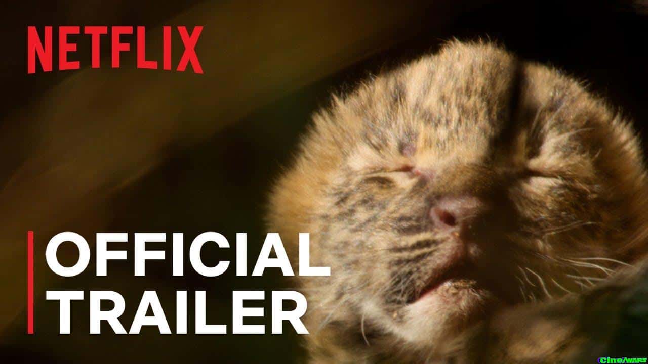 Living With Leopards | Official Trailer