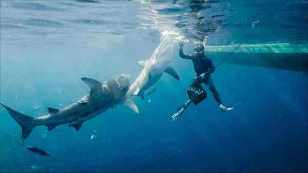 Crackit Makes A Splash