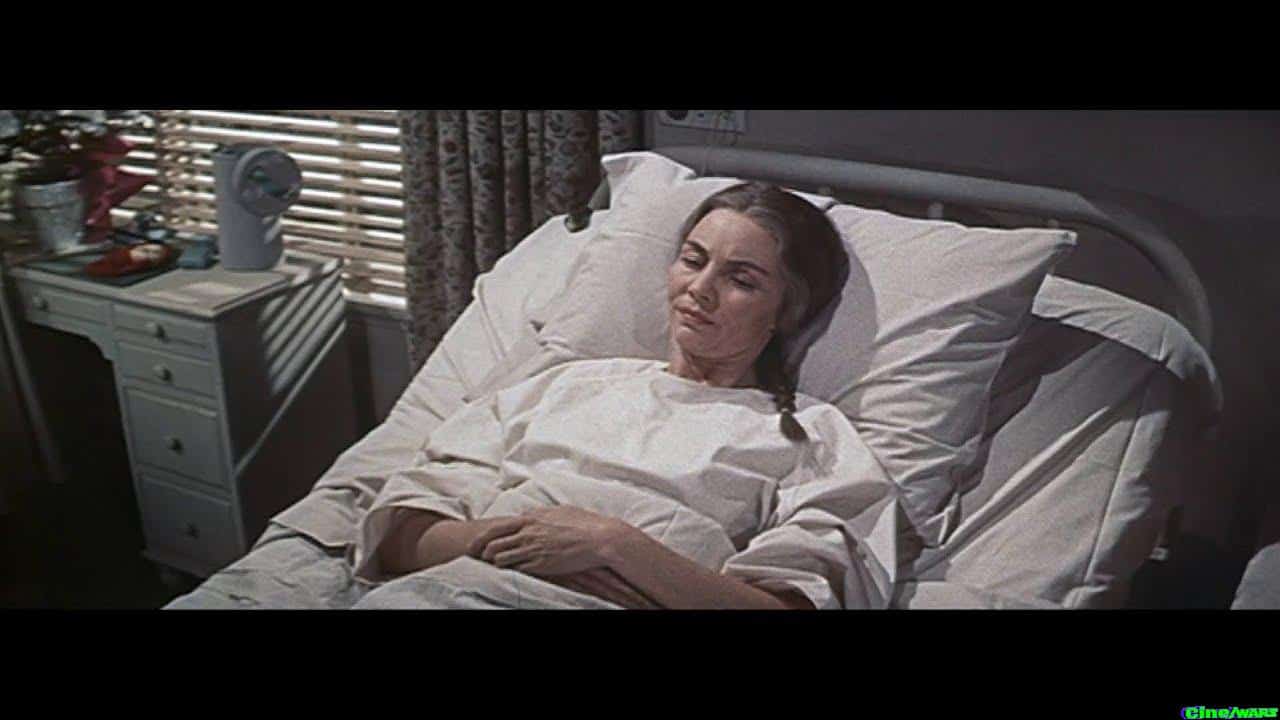 Good Morning Miss Dove (1955)