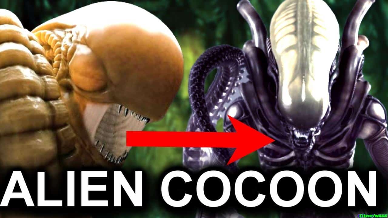 Alien Romulus Xeno Cocoon / New Life Cycle Stage