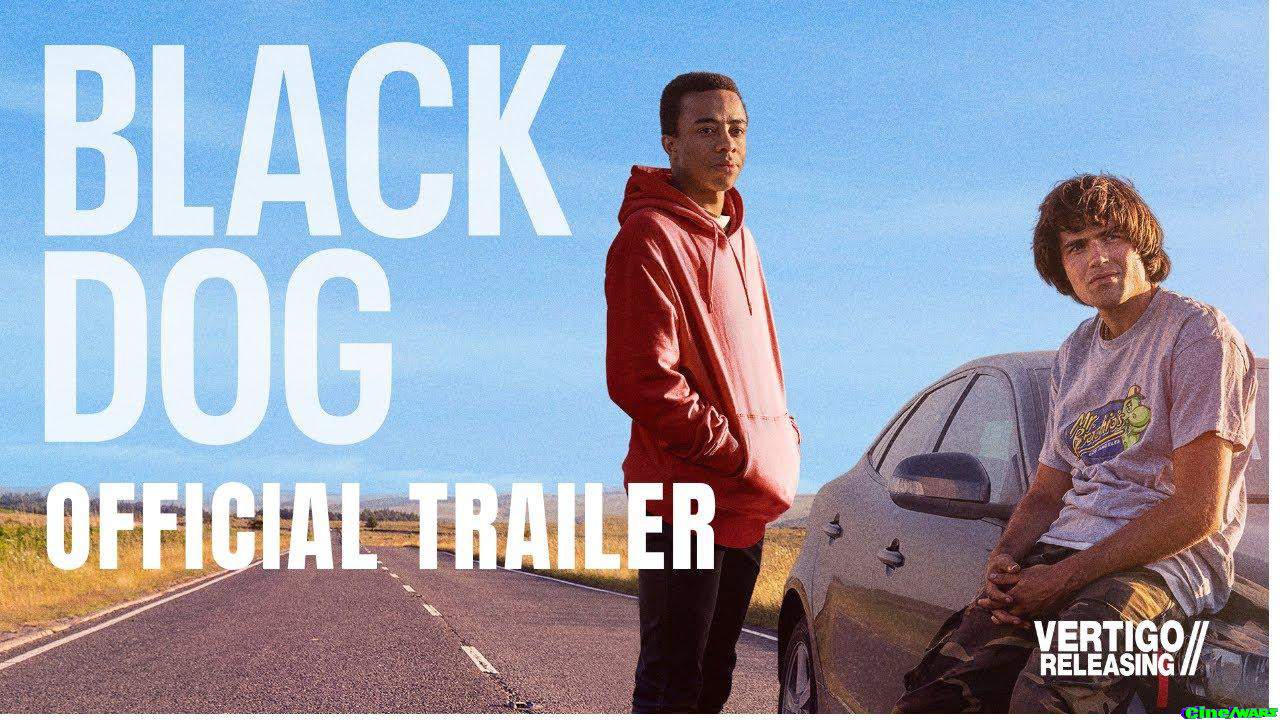 Black Dog | Official Trailer | In Cinema 19th August