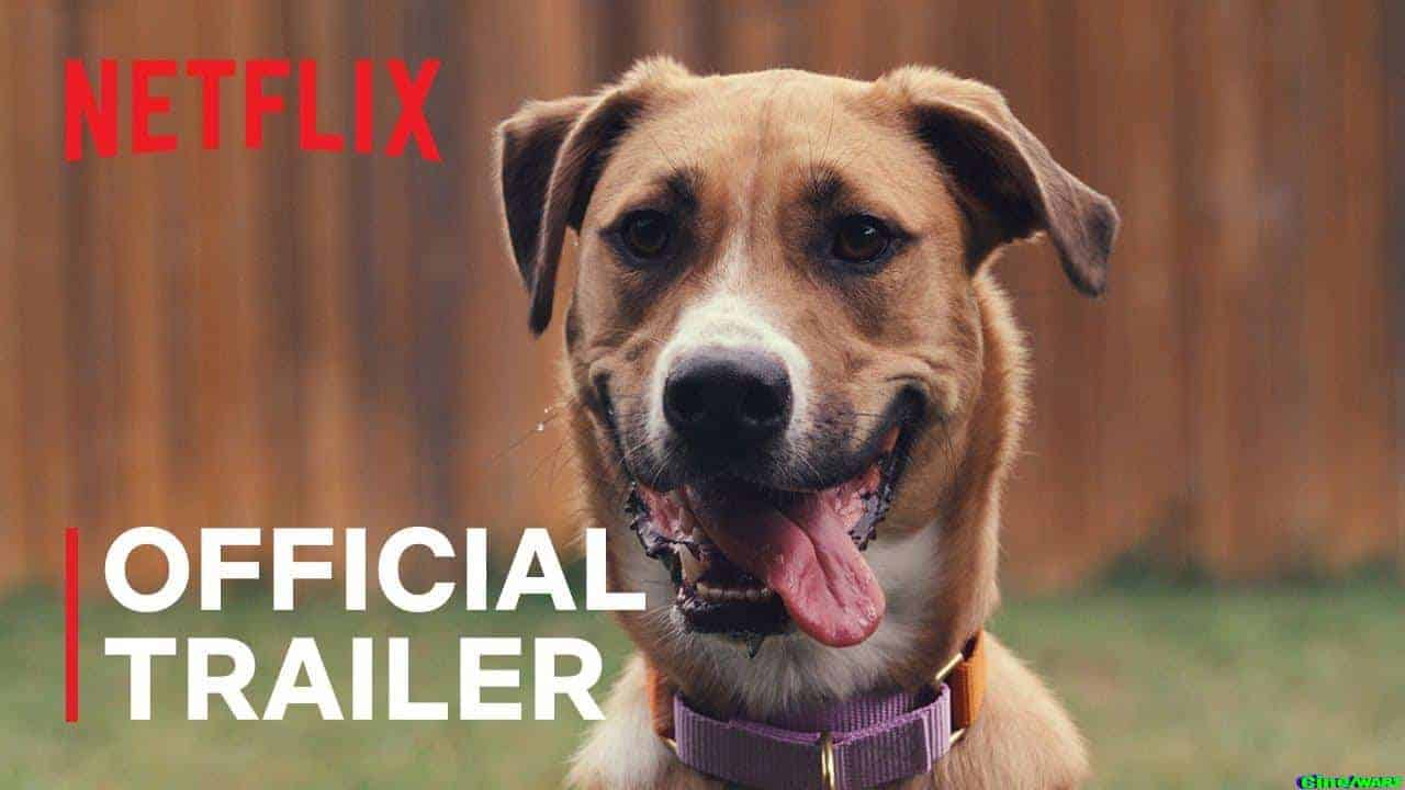 Inside The Mind Of A Dog | Official Trailer