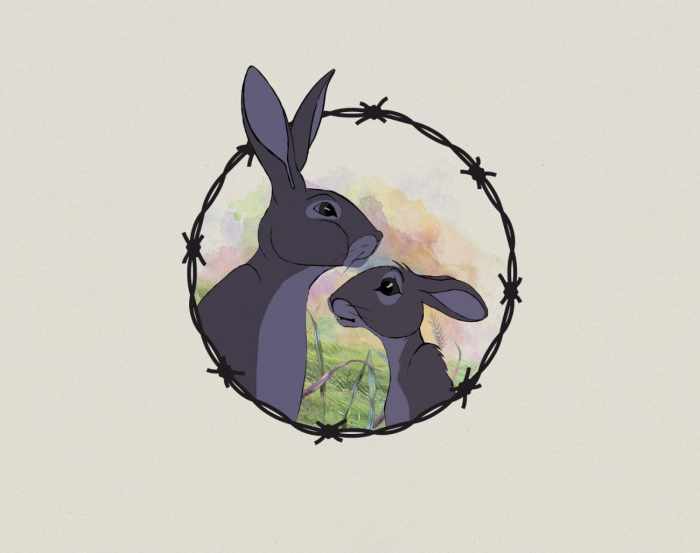 Watership Down To Be Released By Bfi Distribution In Uk And Irish Cinemas On 25 October