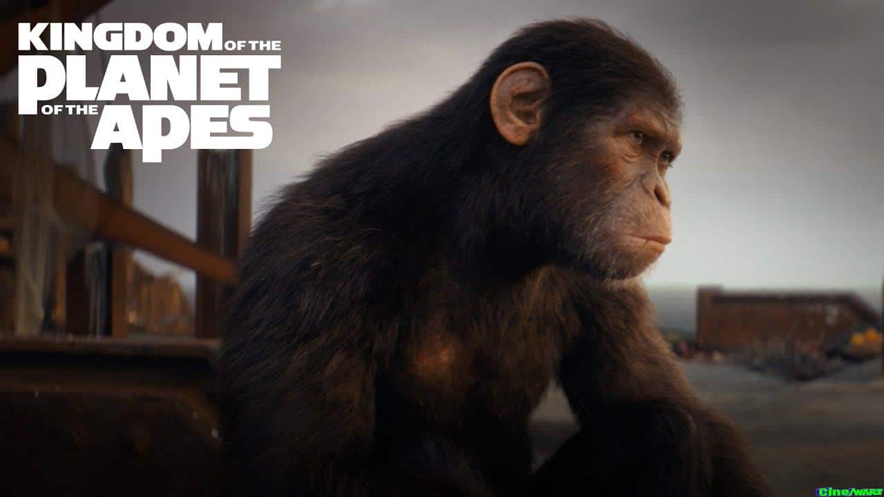 Kingdom Of The Planet Of The Apes | Bring Apes Home