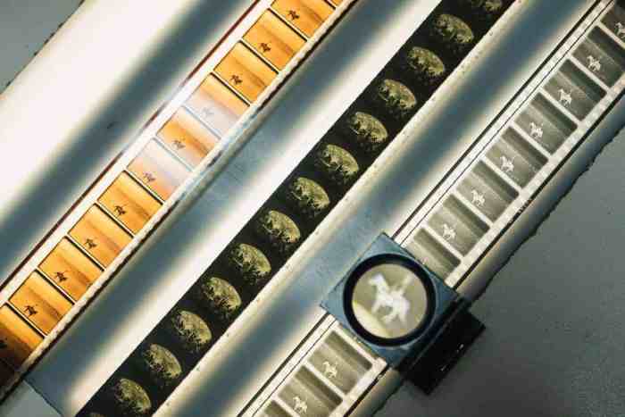 Safeguarding Our Cultural Heritage