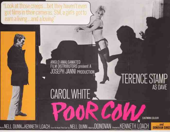 Poor Cow (1967)