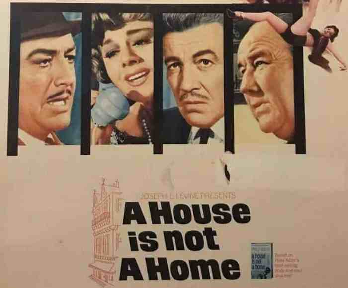 A House Is Not A Home (1964)