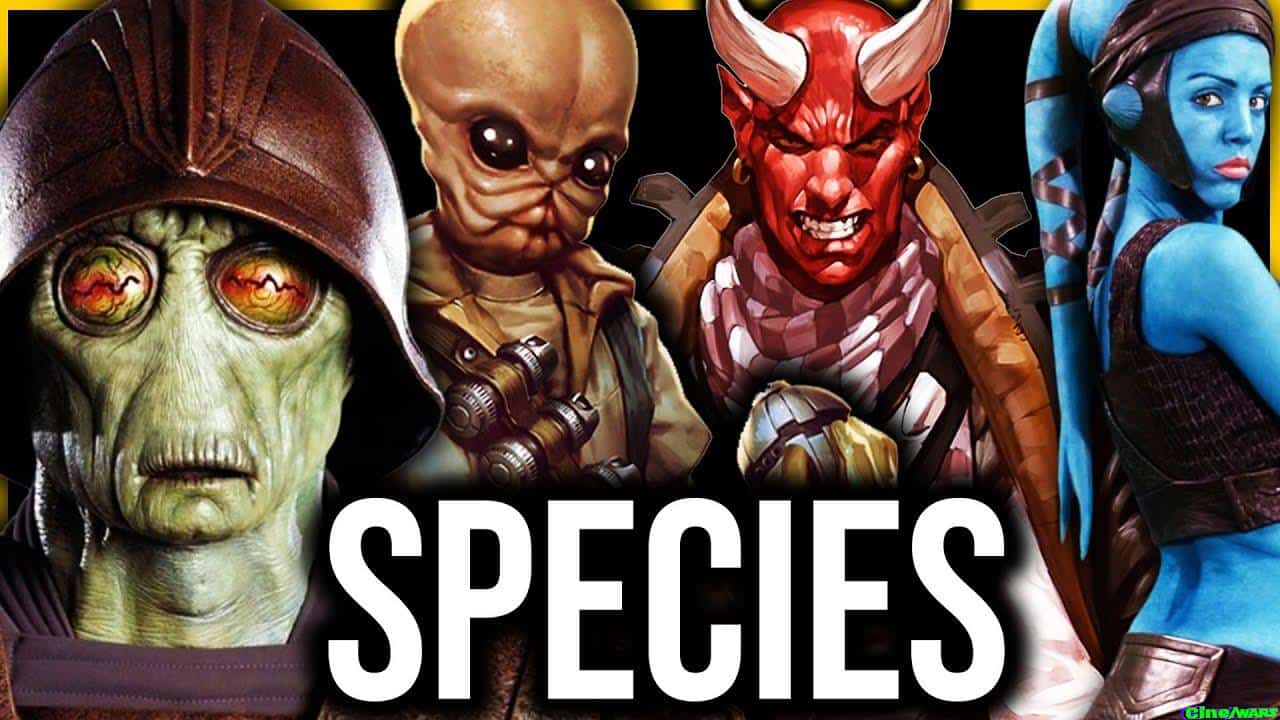 Ultimate Star Wars Species Mix | 2025