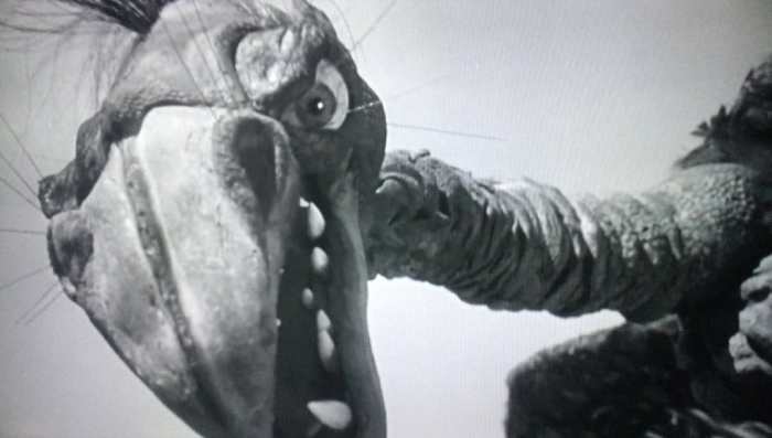 Caught In The Silly Grasp Of ‘the Giant Claw’