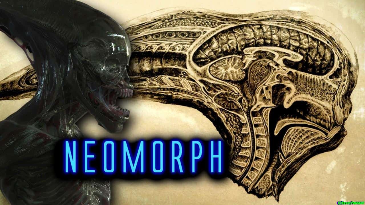 Neomorph Deep Dive Exploration – Planetary Destroyers