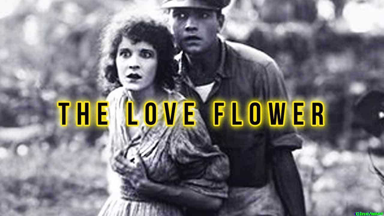 The Love Flower (1920)