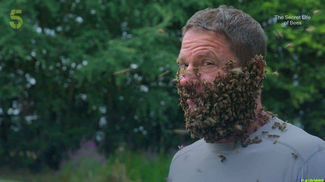 The Secret Life Of Bees | Trailer