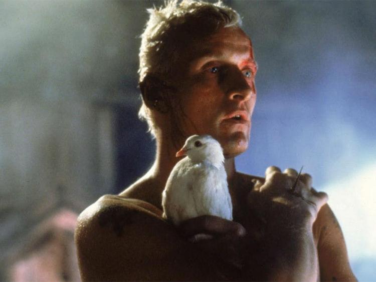 September And Early October At Bfi Southbank And Bfi Imax