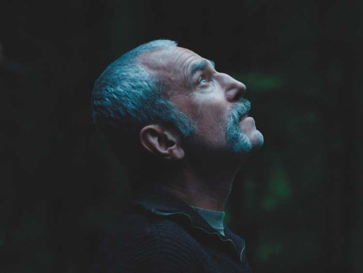 69th Bfi London Film Festival Screen Talks