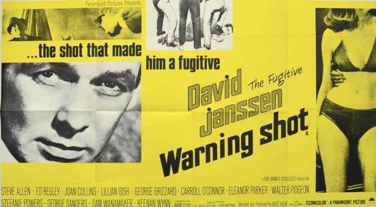 Warning Shot (1967)