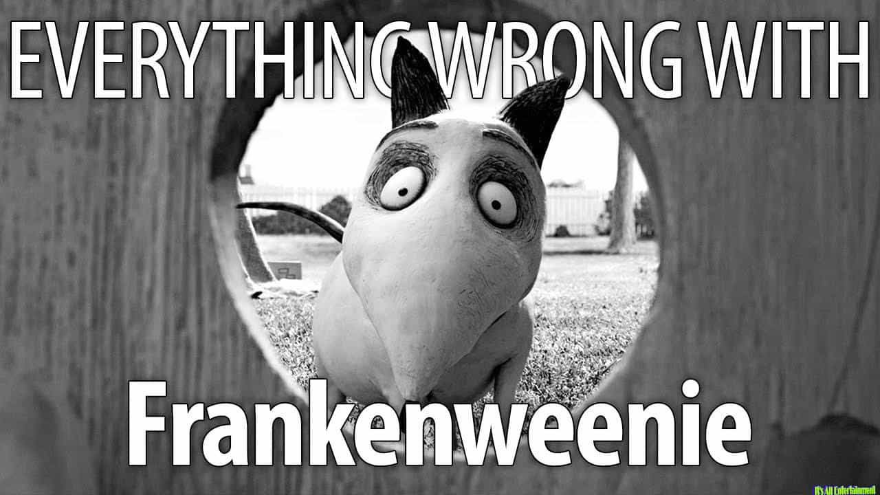 Eww: Frankenweenie In 14 Minutes Or Less
