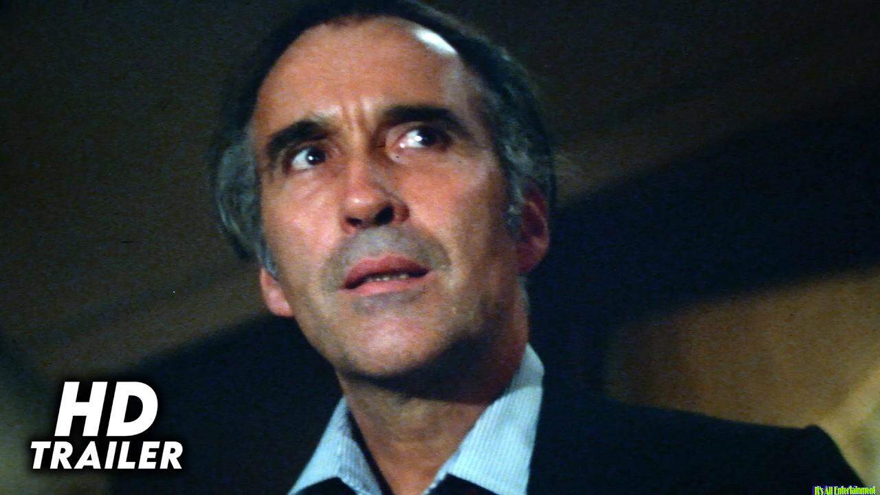 Airport ’77 (1977)