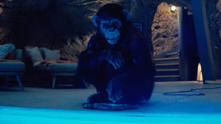 Primate (2026)