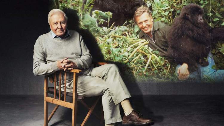 Sir David Attenborough's 100th Birthday Celebrations