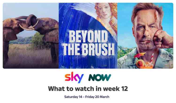 What To Watch In Week 12