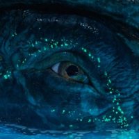 Avatar: Fire and Ash