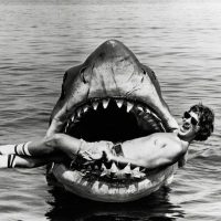 Jaws - Gallery